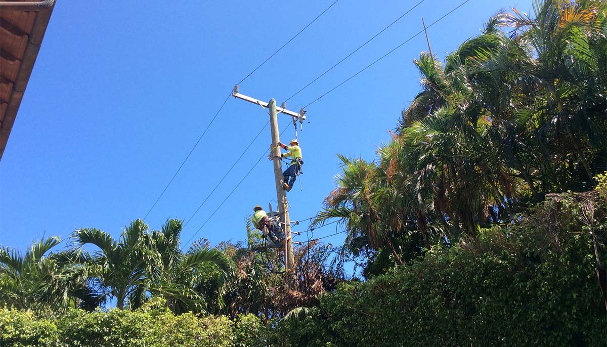 New River Electrical Employees scaling a telephone pole.